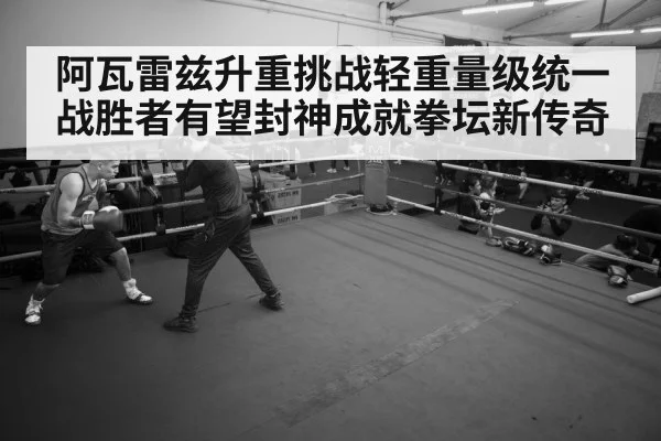 boxer training gym