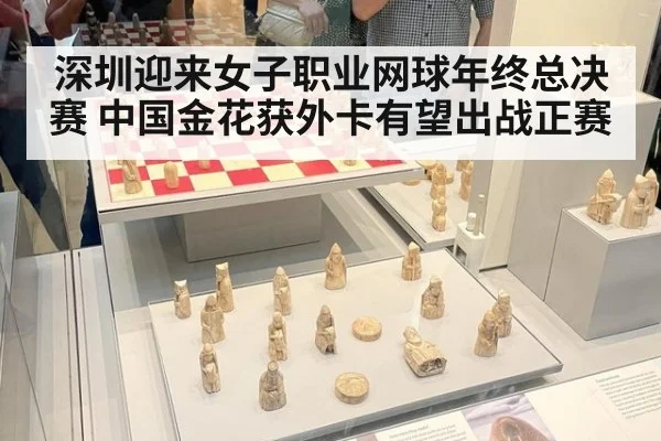 深圳迎来女子职业网球年终总决赛 中国金花获外卡有望出战正赛